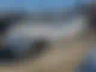 Vehicle Image- 2020 Tesla Model 3