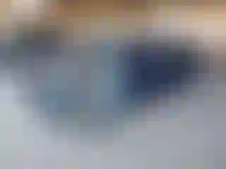 Vehicle Image- 2021 Tesla Model 3