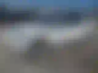 Vehicle Image- 2021 Tesla Model 3
