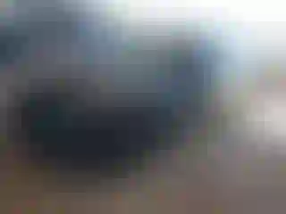 Vehicle Image- 2021 Tesla Model 3