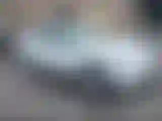 Vehicle Image- 2023 Tesla Model 3