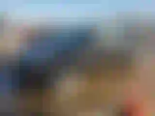 Vehicle Image- 2023 Tesla Model 3