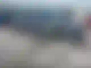 Vehicle Image- 2023 Tesla Model 3