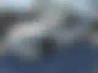 Vehicle Image- 2024 Tesla Model 3