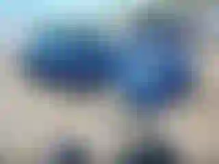 Vehicle Image- 2020 Tesla Model 3