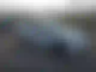 Vehicle Image- 2020 Tesla Model 3