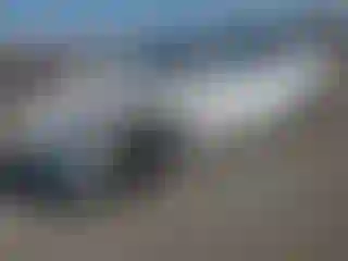 Vehicle Image- 2021 Tesla Model 3