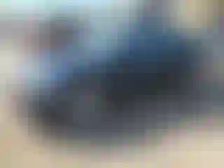 Vehicle Image- 2022 Tesla Model 3