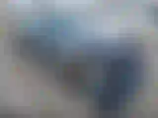 Vehicle Image- 2023 Tesla Model 3