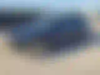Vehicle Image- 2023 Tesla Model 3
