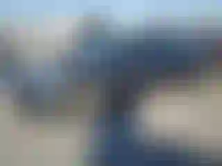 Vehicle Image- 2023 Tesla Model 3