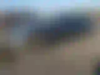 Vehicle Image- 2023 Tesla Model 3