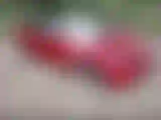 Vehicle Image- 2025 Tesla Model 3