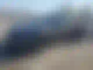 Vehicle Image- 2025 Tesla Model 3