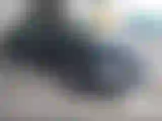 Vehicle Image- 2025 Tesla Model 3