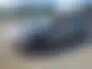 Vehicle Image- 2025 Tesla Model 3