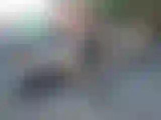 Vehicle Image- 2018 Tesla Model 3