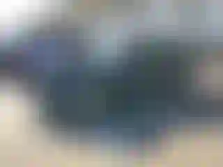 Vehicle Image- 2018 Tesla Model 3