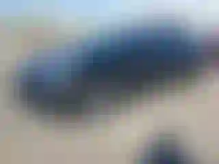 Vehicle Image- 2019 Tesla Model 3