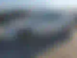 Vehicle Image- 2020 Tesla Model 3