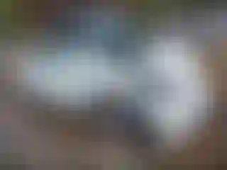 Vehicle Image- 2021 Tesla Model 3