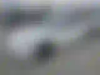Vehicle Image- 2021 Tesla Model 3