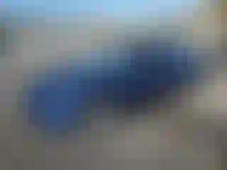 Vehicle Image- 2023 Tesla Model 3