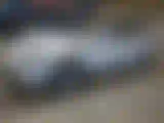 Vehicle Image- 2023 Tesla Model 3