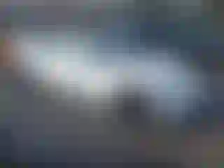 Vehicle Image- 2023 Tesla Model 3