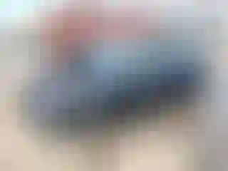 Vehicle Image- 2024 Tesla Model 3