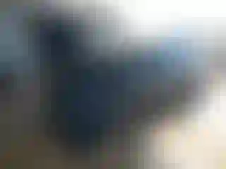 Vehicle Image- 2025 Tesla Model 3