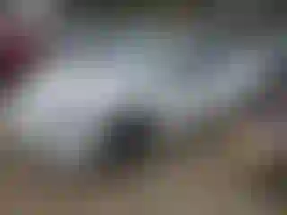 Vehicle Image- 2019 Tesla Model 3