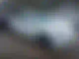 Vehicle Image- 2019 Tesla Model 3