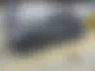 Vehicle Image- 2021 Tesla Model 3