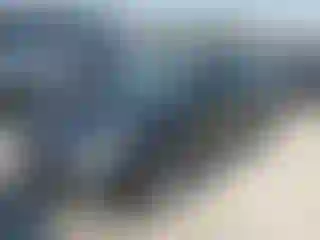 Vehicle Image- 2022 Tesla Model 3