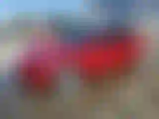 Vehicle Image- 2022 Tesla Model 3