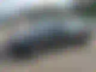 Vehicle Image- 2023 Tesla Model 3