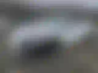 Vehicle Image- 2024 Tesla Model 3