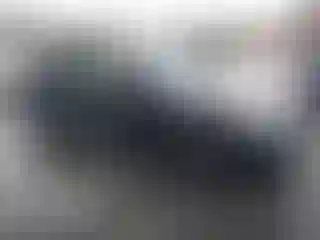 Vehicle Image- 2025 Tesla Model 3