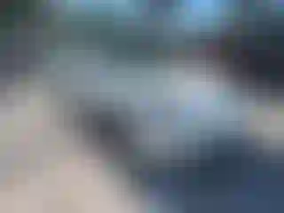 Vehicle Image- 2019 Tesla Model 3