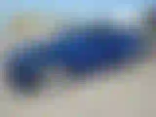 Vehicle Image- 2019 Tesla Model 3
