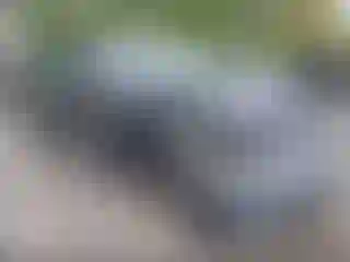 Vehicle Image- 2020 Tesla Model 3