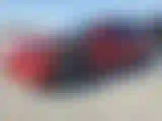 Vehicle Image- 2022 Tesla Model 3