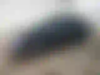 Vehicle Image- 2022 Tesla Model 3