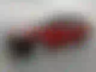 Vehicle Image- 2022 Tesla Model 3