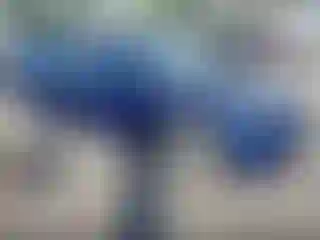 Vehicle Image- 2022 Tesla Model 3