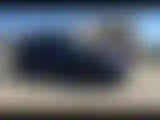 Vehicle Image- 2023 Tesla Model 3