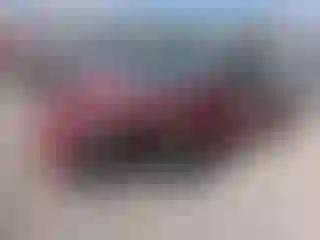 Vehicle Image- 2024 Tesla Model 3