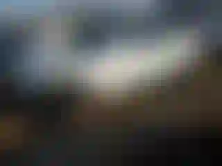 Vehicle Image- 2022 Tesla Model 3