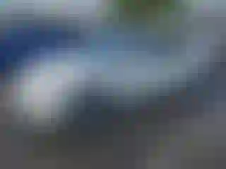 Vehicle Image- 2022 Tesla Model 3